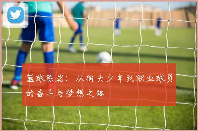 篮球陈岩：从街头少年到职业球员的奋斗与梦想之路