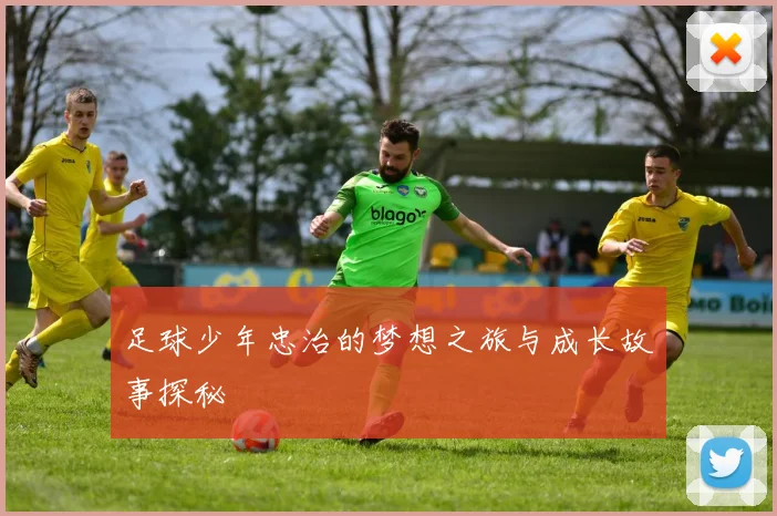 足球少年忠治的梦想之旅与成长故事探秘