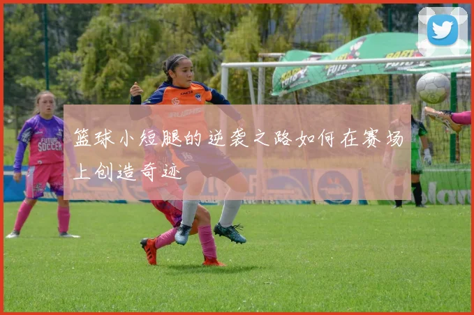 篮球小短腿的逆袭之路如何在赛场上创造奇迹